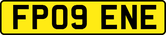 FP09ENE