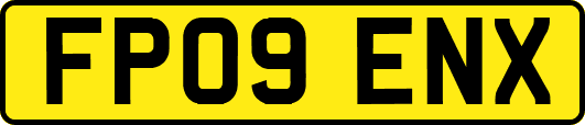 FP09ENX