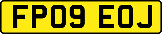 FP09EOJ