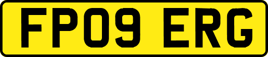 FP09ERG