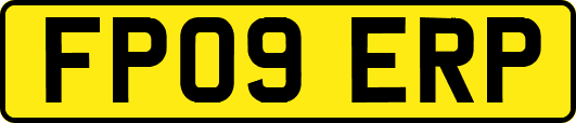 FP09ERP
