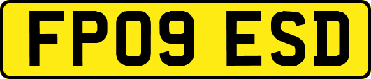 FP09ESD
