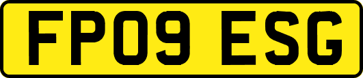 FP09ESG