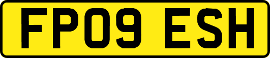 FP09ESH