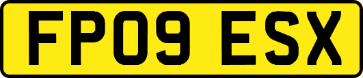 FP09ESX