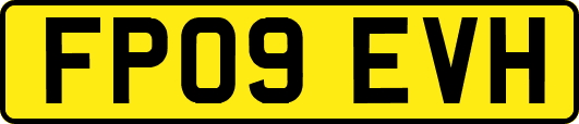 FP09EVH