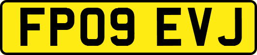 FP09EVJ