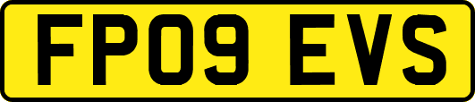 FP09EVS
