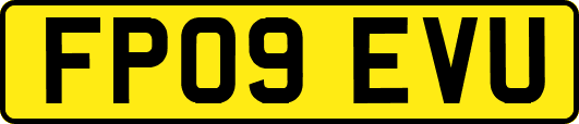 FP09EVU