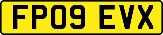 FP09EVX