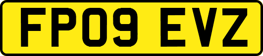 FP09EVZ
