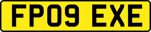 FP09EXE