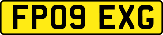 FP09EXG