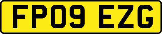 FP09EZG