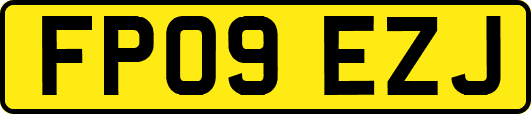 FP09EZJ