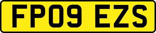 FP09EZS