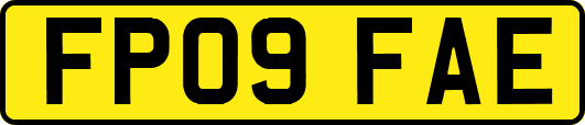 FP09FAE