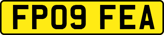 FP09FEA
