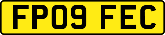 FP09FEC