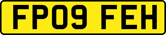 FP09FEH