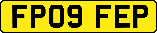 FP09FEP