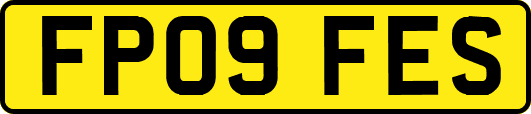 FP09FES