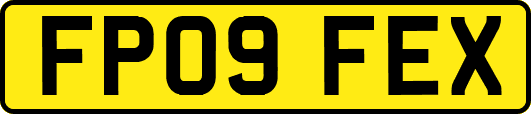 FP09FEX