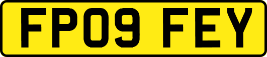FP09FEY