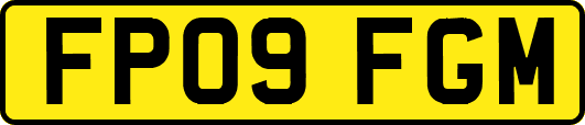 FP09FGM