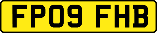FP09FHB