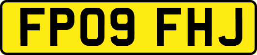 FP09FHJ
