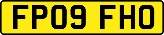 FP09FHO