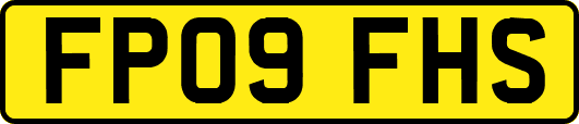 FP09FHS