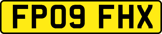 FP09FHX