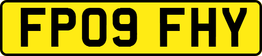 FP09FHY