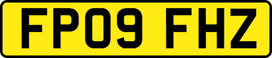 FP09FHZ