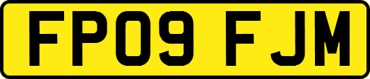 FP09FJM