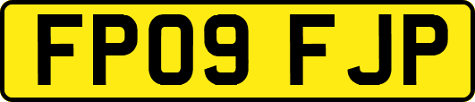 FP09FJP