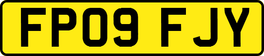 FP09FJY