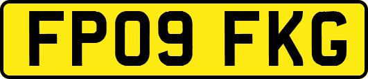 FP09FKG