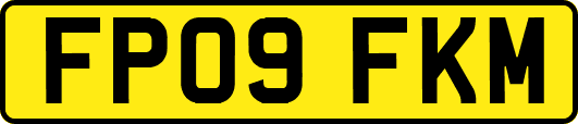 FP09FKM