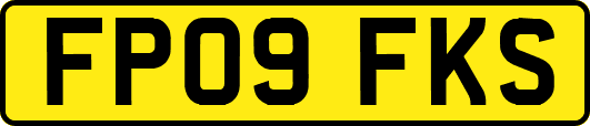 FP09FKS