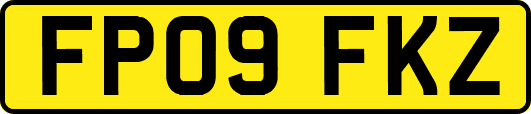FP09FKZ