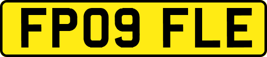 FP09FLE