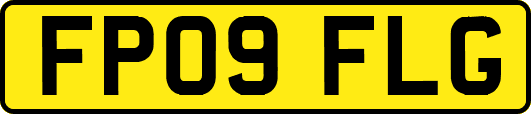 FP09FLG