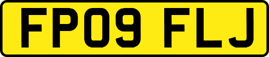 FP09FLJ