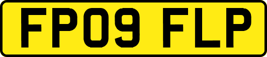 FP09FLP