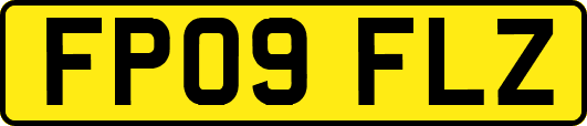 FP09FLZ