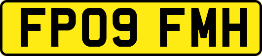 FP09FMH
