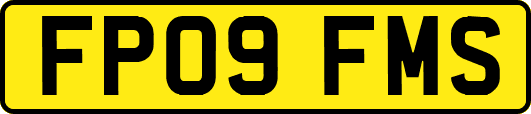 FP09FMS